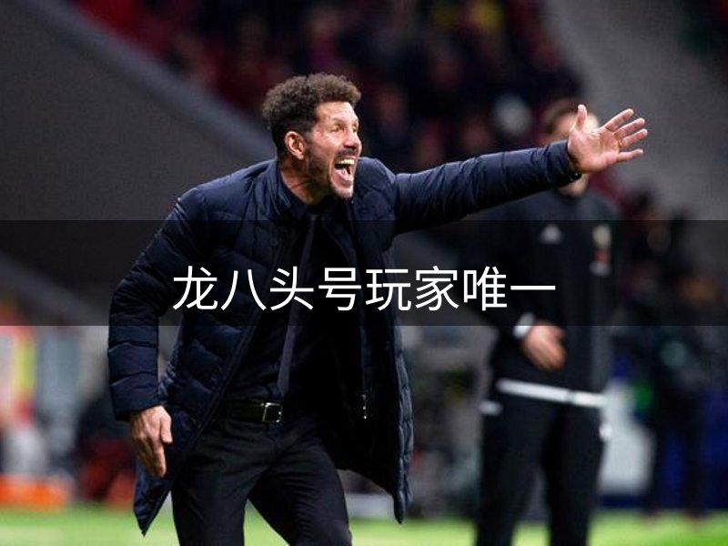 龙八头号玩家唯一简介